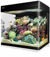 Red Sea Max 130D Aquarium ohne Unterschrank silber