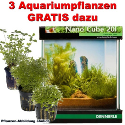 DENNERLE NanoCube 20l Aquarium inkl. 3 Aquariumpflanzen