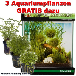 DENNERLE NanoCube 30l Aquarium inkl. 3 Aquariumpflanzen