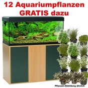 buche/anthrazit - Fluval Aquarium-Kombination Roma 240