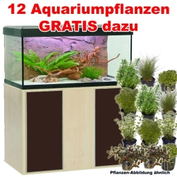 naturhell/mokka - Fluval Aquarium-Kombination Roma 240