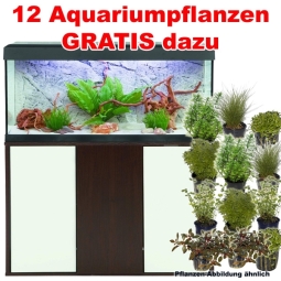 wenge/weiß - Fluval Aquarium-Kombination Roma 240