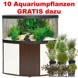 wenge/weiß  - Fluval Eck-Aquarium-Kombination Venezia 350