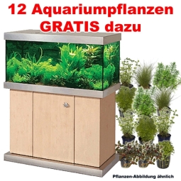 Achatgrau - Theiling Aquarium Smart-Line Lugano 250l